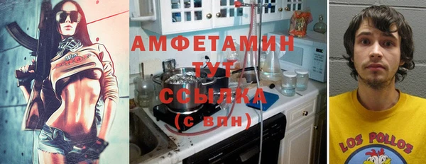 ешки Аркадак
