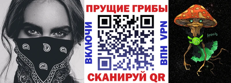 Псилоцибиновые грибы ЛСД Лукоянов